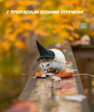 Наталья Богачёва