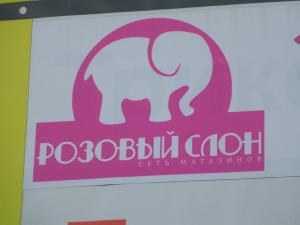Фотография Дуэт 2