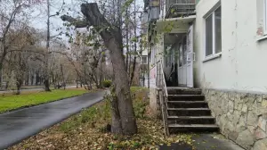 Фотография Совершенство 1
