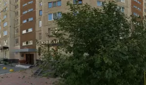 Фотография Люта 0