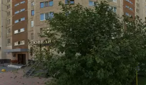 Фотография Люта 4