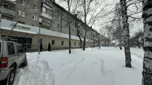 Фотография Фламинго 1